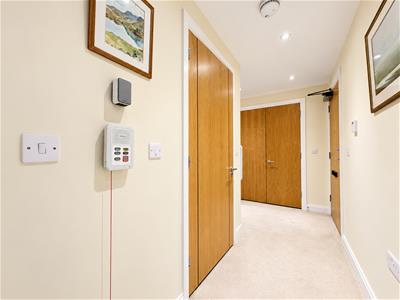 Picture 12
